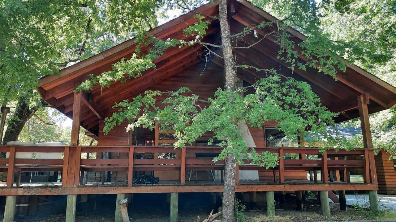 Agradable Casa Cerca De Las Termas De Chillan Лас Транкас Экстерьер фото