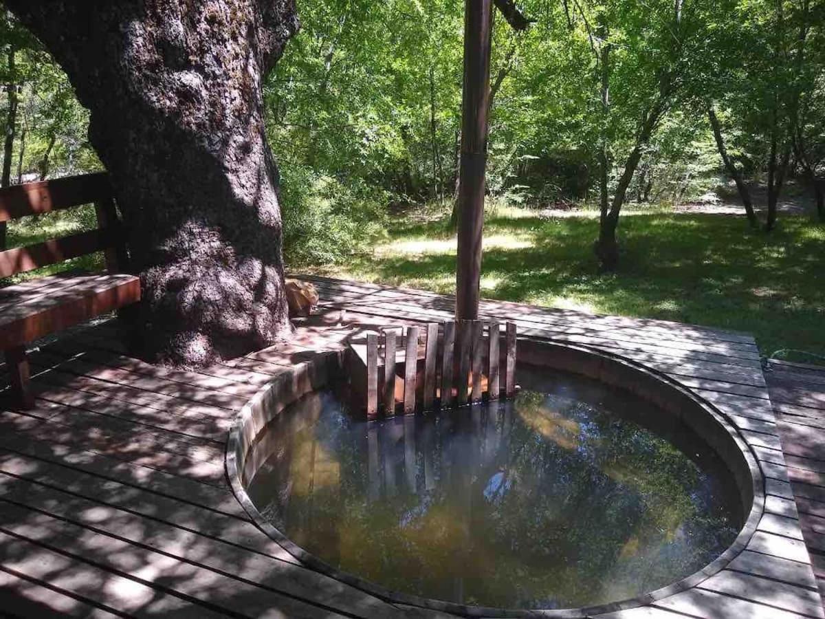 Agradable Casa Cerca De Las Termas De Chillan Лас Транкас Экстерьер фото