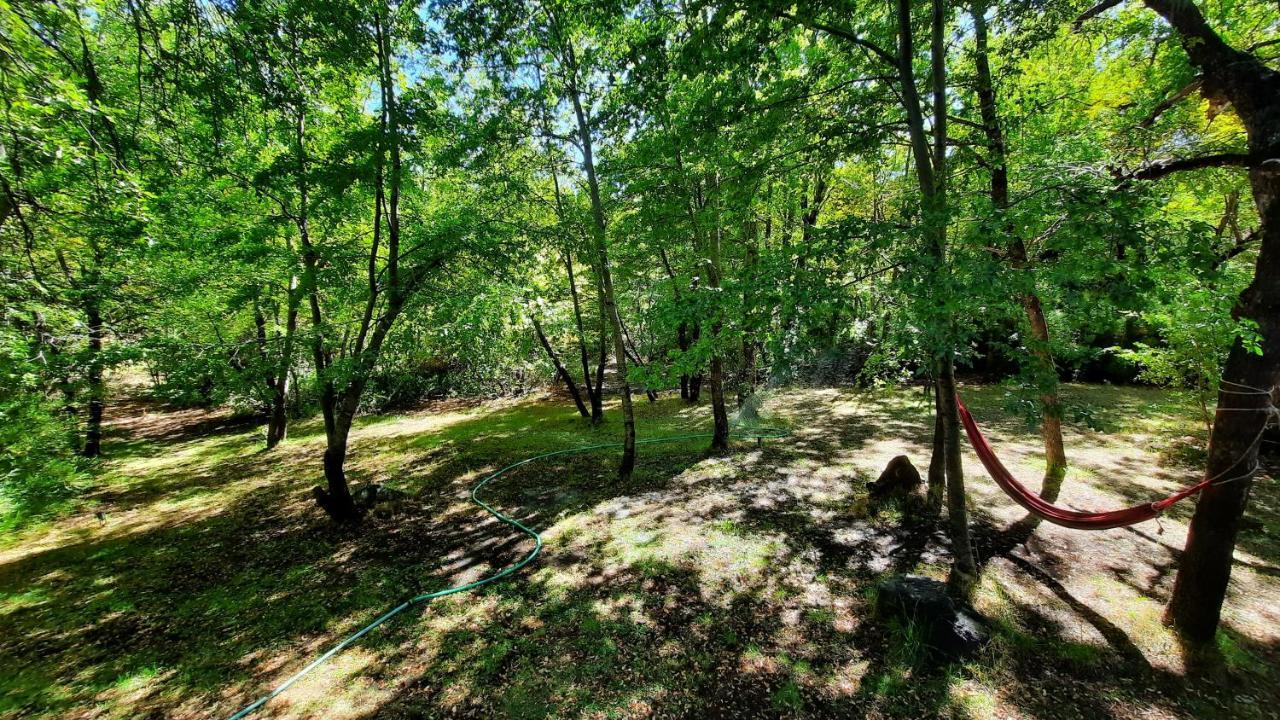 Agradable Casa Cerca De Las Termas De Chillan Лас Транкас Экстерьер фото